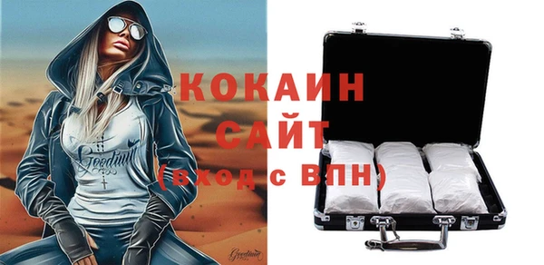 молекула духа Арсеньев